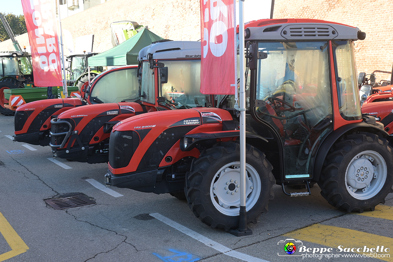 VBS_7268 - Fiera dei Santi - 12.ma Fiera Nazionale del Tartufo.jpg